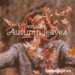 Observa cómo caen las hojas en el otoño
​